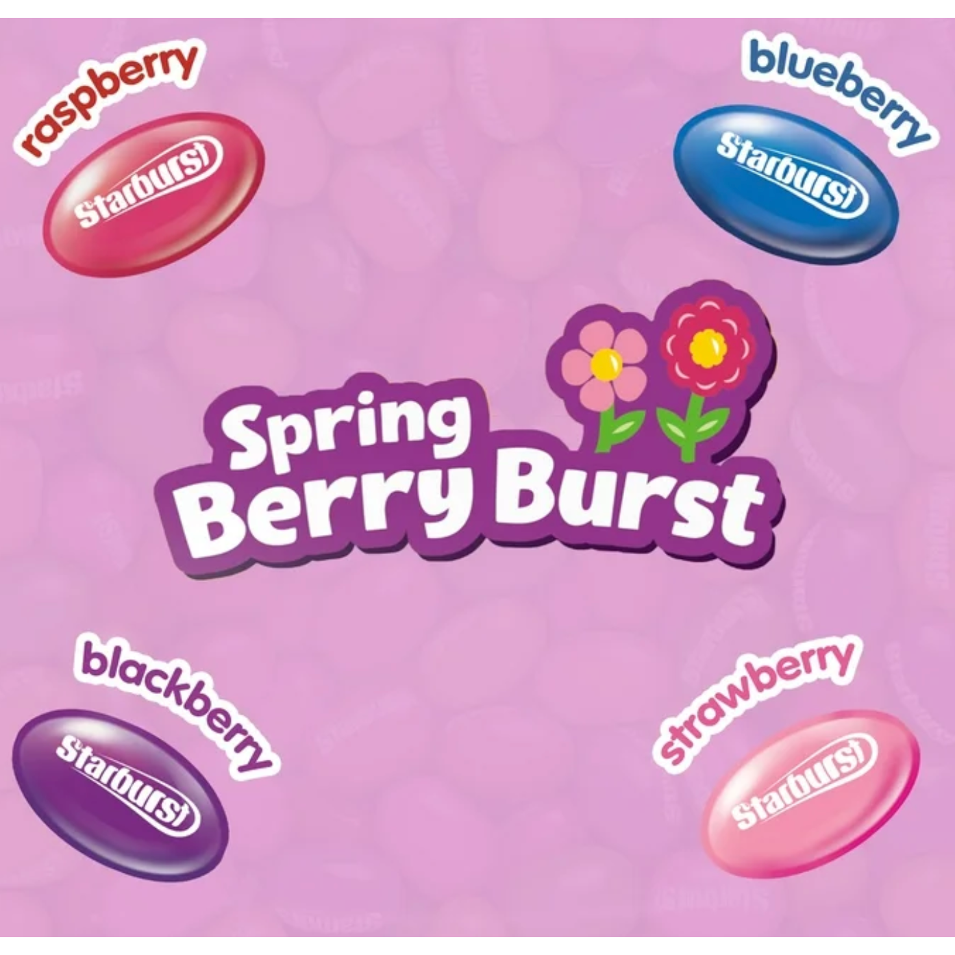 Spring Berry Burst Candy Jelly Beans 14 oz