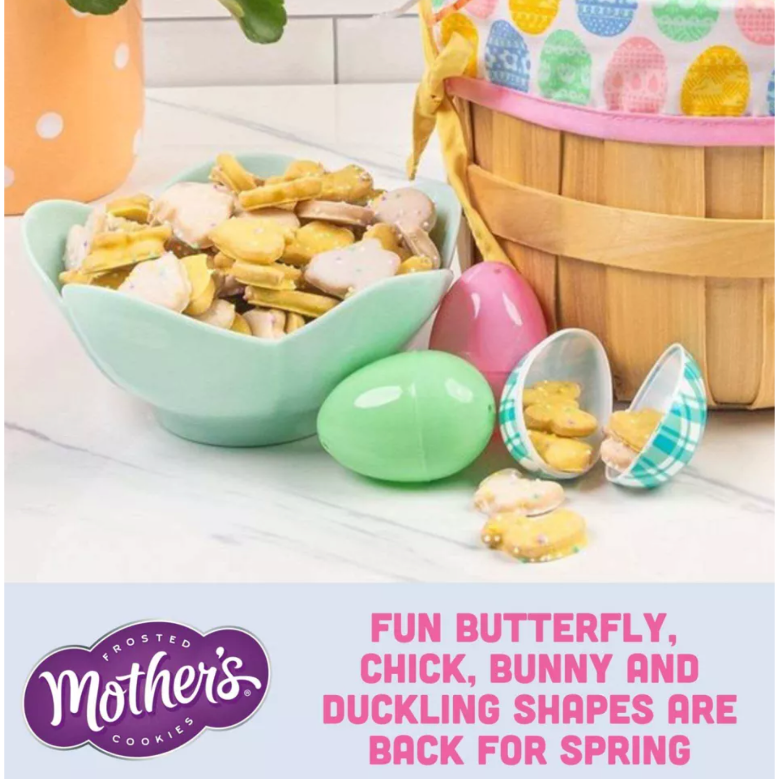 Mother’s Easter Cookies Springtime Buddies 9 oz